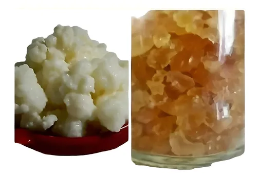 comprar 2x1 Kit Bulgaros Kefir Leche Y Agua 100% Orgánicos En Frasco