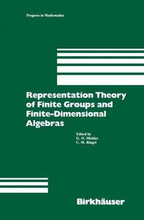 Libro Representation Theory Of Finite Groups And Finite-d...