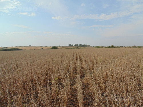 Imagen 7 de 11 de Campo En Martin Chico, Buena Tierra Productiva, Zona En Desarrollo
