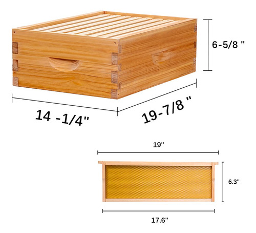 Caja De Colmena De 8 Marcos Caja De Abejas Langstroth M...