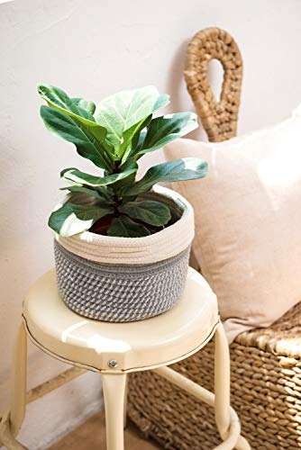 Cesta De Plantas De Cuerda De Yute De Algodón Dahey, Cesta