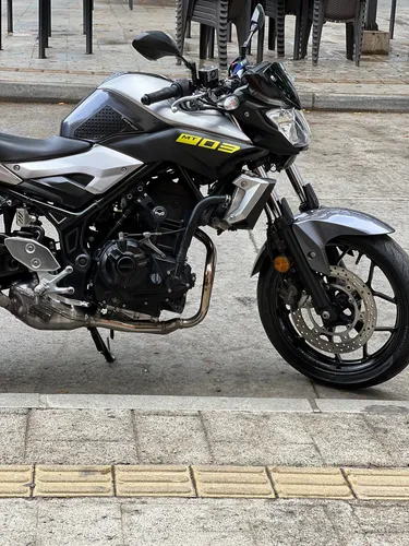 Mt03