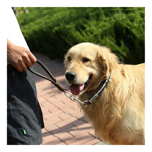 Collar Para Perro Mediano Y Grande Con Cadena P Para Perro
