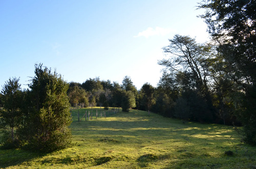 Terreno Con Bosque Nativo, Bosque De Arrayanes Y Riachuelo