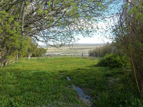 Campo - Tres Lagos