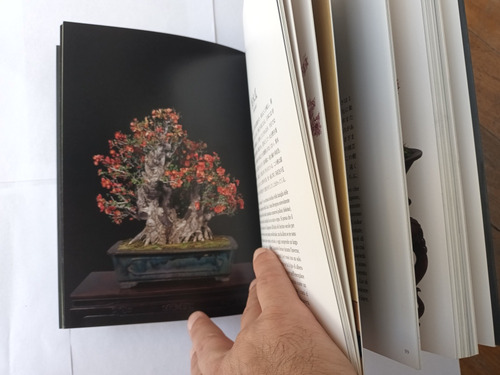 Libro Bonsai - Kunio Kobayashi. Edicion L Ippocampo Italiano (Usado)