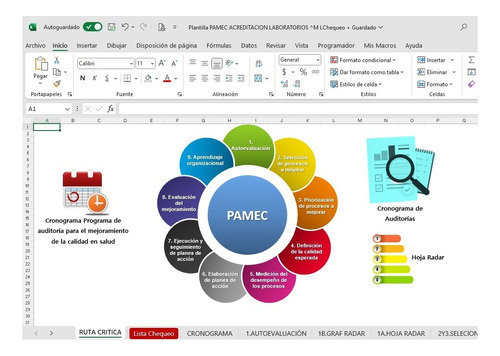 Formato Registro Ruta Crítica Pamec-acreditación Laboratorio