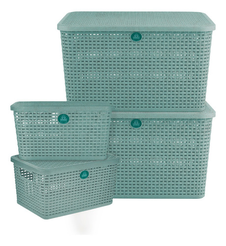 4 Cajas Organizadoras Terragave Rattan 42.2cm Biodegradable Color Menta