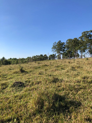 Imagem 4 de 14 de D31 - Aceitamos Seu Veículo Na Troca Do Nosso Terreno.