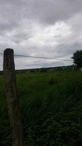 Fazenda Com 178 Hectares Rica Em Agua Em Felixlandia Mg - 36425