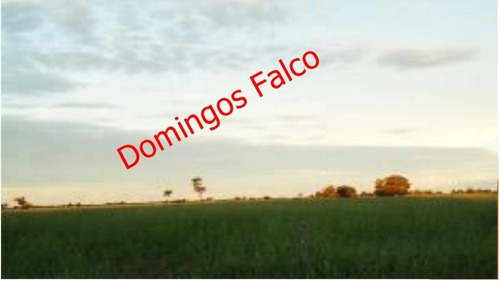 Imagem 26 de 30 de Venda - Fazenda - Zona Rural - Jussara - Go - D0510