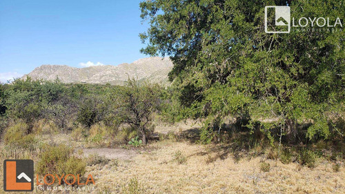 Imagen 7 de 15 de Villa Larca 2 Hectáreas Al Pie De Las Sierras