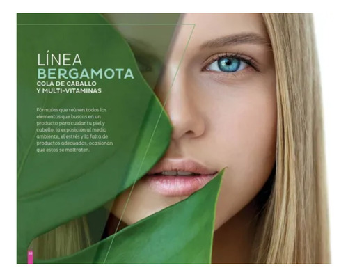 Shampoo Bergamota Elementos Concentrados Florigan® 1lt 2pzas