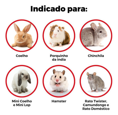 Jaula para conejillos de indias, conejo chinchilla grande con suelo rojo