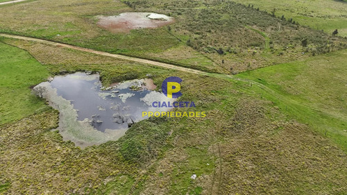5 Hectáreas En Canelones, Zona De Noya