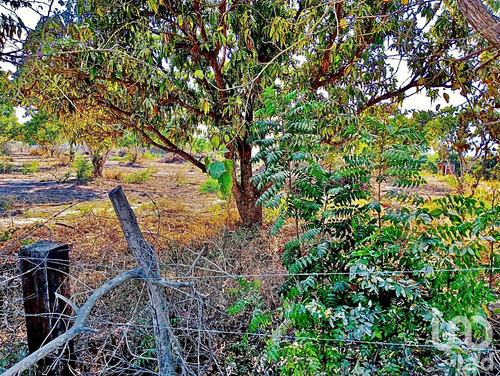 Venta Terreno 0 Ambiente Nuevo Vallarta