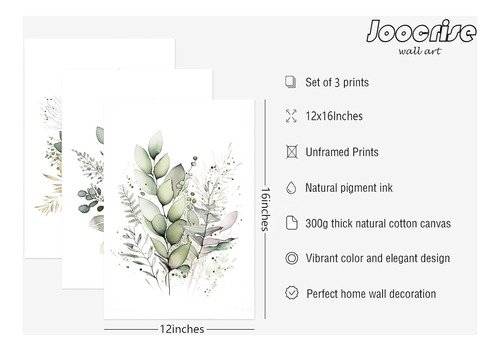 Juego De 3 Arte Botánico Para Pared De Acuarela, Lienzo Flor