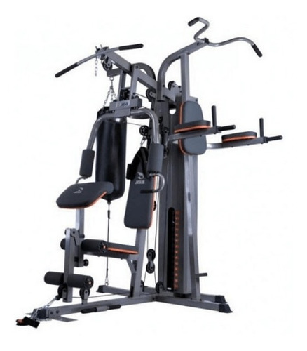 Home Gym Multi Estacion Funcional Ds-1300