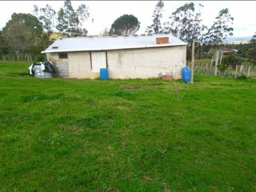 Quinta En Venta En Lavalleja