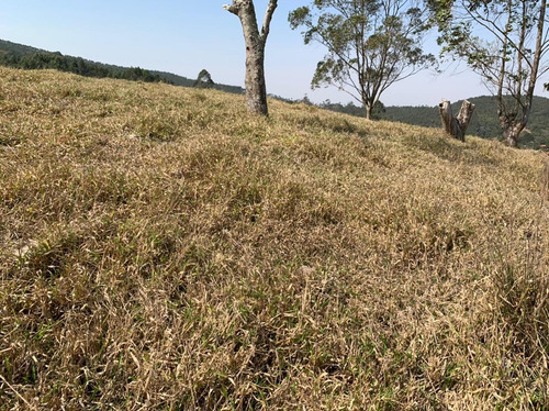 Imagem 11 de 14 de 54ne- Terreno 1000m2 R$40.000 Mil -localização Na Descrição