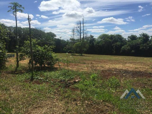 Imagem 3 de 6 de Terreno À Venda, 5000 M² Por R$ 600.000,00 - Distrito Espírito Santo - Londrina/pr - Te0507