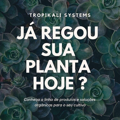 Terra Vitamina P/ Vasos Plantas E Solos Automatic 5l Promo