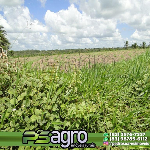 Imagem 10 de 18 de ( Oportunidade )fazenda Na Região De Pedras De Fogo, C/ 80ha - Fa0077