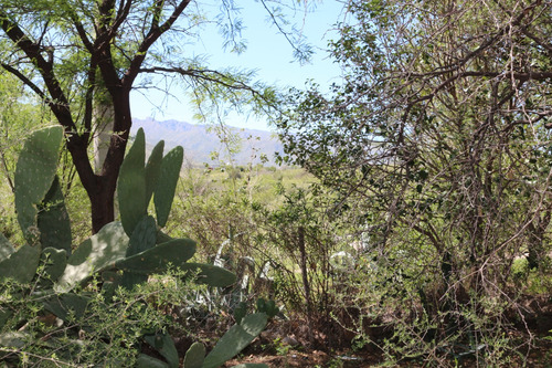 Casa En La Sierra San Luis
