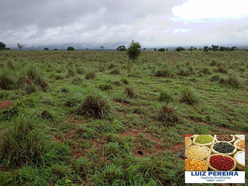 Imagem 5 de 15 de Fazenda À Venda Em Formoso Do Araguaia-to - 1.771 Hectares (dupla Aptidão) - 1618