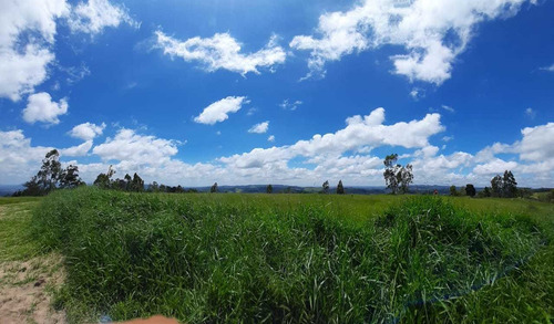 Imagem 10 de 14 de Os Melhores Terrenos No Interior De São Roque