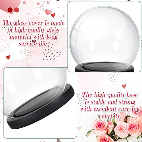 Conjunto De 4 Piezas De Cúpula De Cristal, Vitrina De ...
