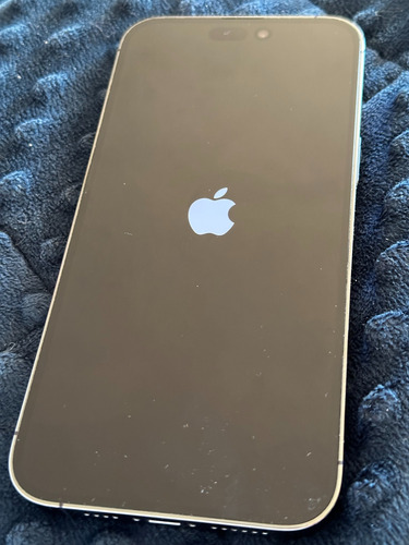 Apple iPhone 14 Pro Max (256 Gb) - Morado Oscuro (Usado)