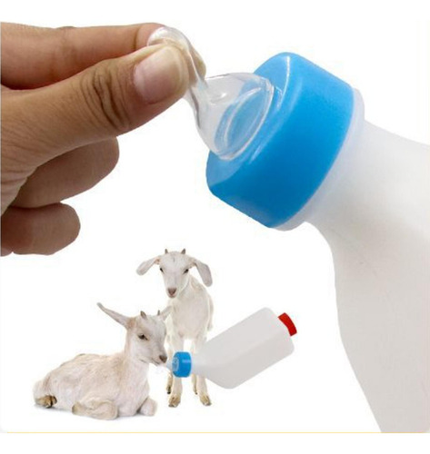 Cf Botella De Leche De Cordero Alimentación Con Leche De