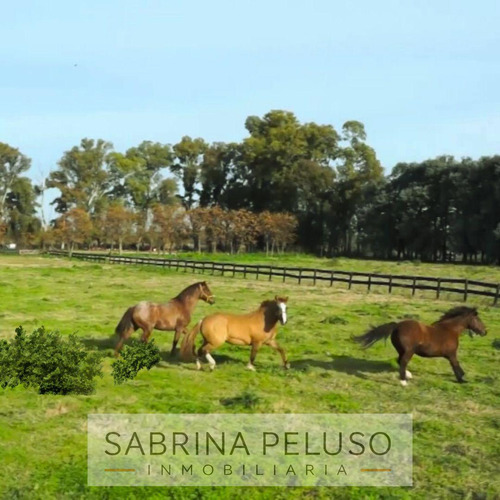 Venta Lote Terreno En General Rodriguez