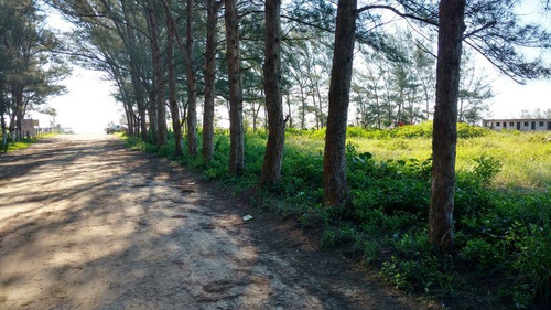 Venta Lotes 400 M² Playa Sur Tamiahua Veracruz