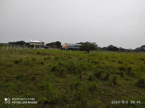 Imagen 8 de 14 de Finca En Venta En Apure