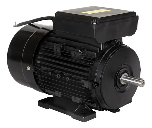 Motor Elétrico Monofásico Lynus Blindado 1 Cv 4 Polos Gmeg