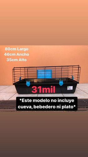 Imagen 2 de 4 de Jaulas Para Cuilos, Conejos, Erizos, Pollitos Y Más