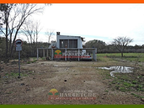 Imagen 3 de 22 de Chacra En Venta 3 Has Con Casa En El Colorado
