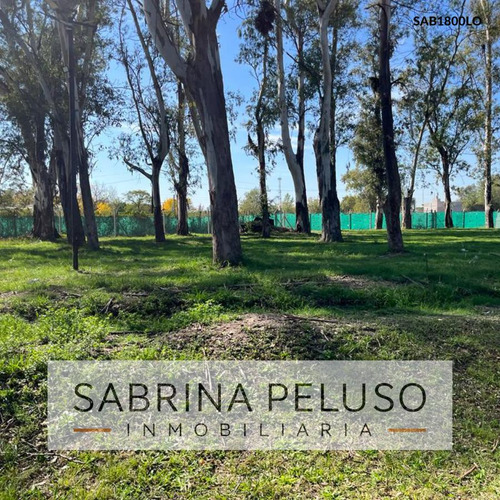 Terreno En  Alvarez Del Bosque