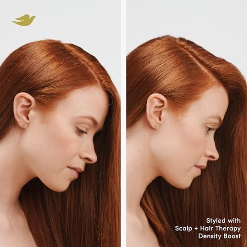 Dove Density Boost ChampĂș Clarificante Para El Cuero Cabellu