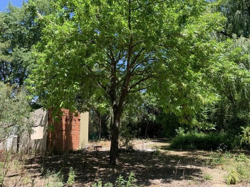 Imagen 4 de 5 de Terreno De 2043m2 En Venta En Fátima Pilar
