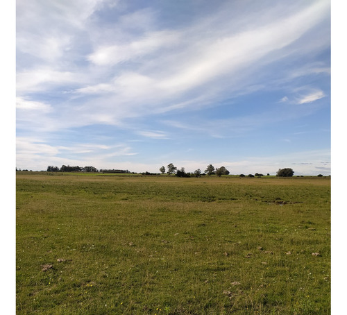Vendo 15 Has Campo Plano, Aguada A 400 M De Ruta 33 Por Servidumbre De Paso, Alambrados