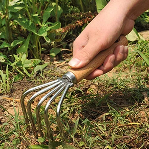 1 Pieza De Rastrillo Pequeño De Jardín De 5 Dientes