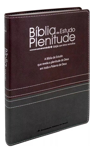 Bíblia De Estudo Plenitude - Palavras Jesus Em Vermelho