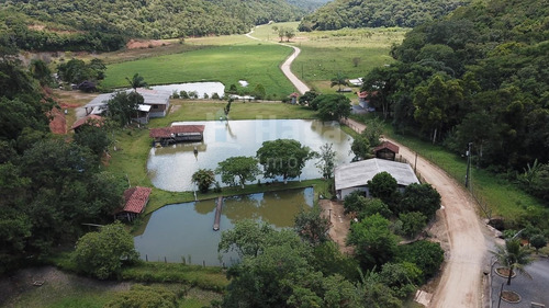 Sítio A Venda Em Brusque/sc - 1754c