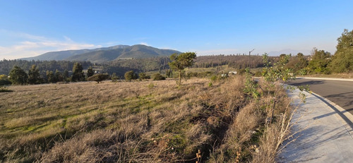 Las Gaviotas Quintero, A 4k De Rotonda Concón, Urbanizado