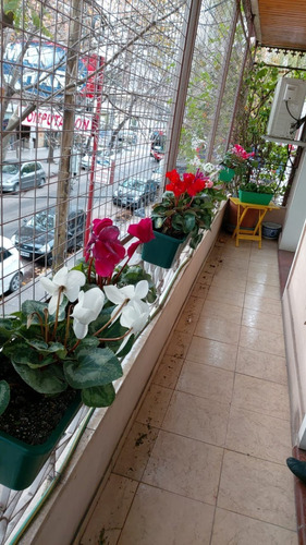 Imagen 1 de 16 de Departamento De 4 Ambientes Con Terraza Y  Balcón A La Calle. Mejor Ubicación