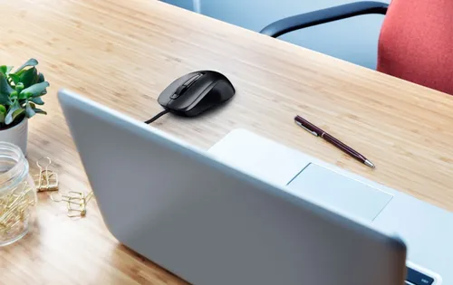 Mouse Trust Carve Wired
