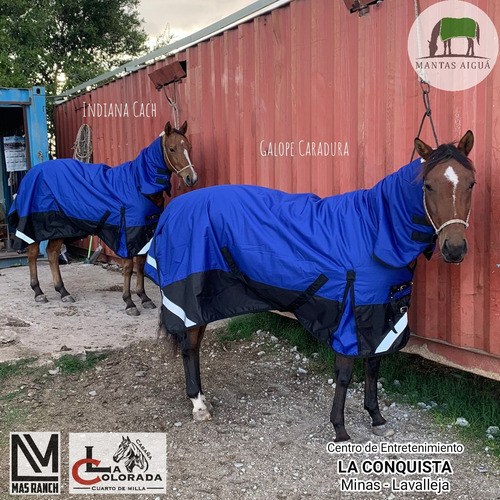 Imagen 2 de 10 de Manta Capa Caballo Importada (descuento Vta. Directa)